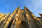 France, Gironde, Bordeaux, area listed as World Heritage by UNESCO, district of the Town Hall, Pey Berland Square, Saint Andre Cathedral