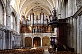 France, Gironde, Bordeaux, area listed as World Heritage by UNESCO, district of the Town Hall, Pey Berland Square, Saint Andre Cathedral