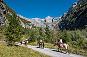 France, Haute Savoie, Sixt Fer a Cheval, equestrian hike in the Circus of Horseshoe to the End of the World, the Pyramid of the Ottoman Head (2549m)