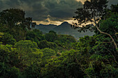 Blick auf Pieter Both und Long Mountain, Nouvelle Decouverte, Mauritius, Indischer Ozean, Afrika