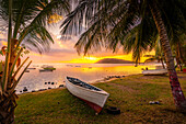 Blick auf Le Morne durch Palmen bei Le Morne Brabant bei Sonnenuntergang, Savanne District, Mauritius, Indischer Ozean, Afrika