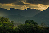 Blick auf Pieter Both und Long Mountain, Nouvelle Decouverte, Mauritius, Indischer Ozean, Afrika