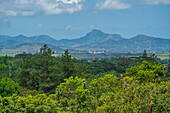 View of landscape from near the Bois Cheri Tea Estate, Savanne District, Mauritius, Indian Ocean, Africa