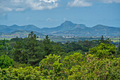 Blick auf die Landschaft in der Nähe des Bois Cheri Tea Estate, Savanne District, Mauritius, Indischer Ozean, Afrika