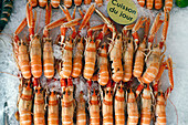 Frische Langustinen zum Verkauf auf dem traditionellen Fischmarkt, Trouville, Normandie, Frankreich, Europa