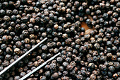 Famous Kampot black pepper, one of the best peppers in the world, Pepper farm, Kep, Cambodia, Indochina, Southeast Asia, Asia