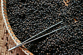 Berühmter schwarzer Kampot-Pfeffer, eine der besten Paprikasorten der Welt, Pfefferfarm, Kep, Kambodscha, Indochina, Südostasien, Asien