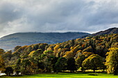 Bäume in Herbstfarben mit Coniston Old Man dahinter, Coniston, Lake District National Park, UNESCO-Welterbe, Cumbria, England, Vereinigtes Königreich, Europa