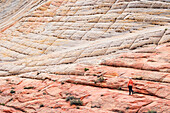 Ein Mädchen bewundert an einem Sommertag die schönen Felsformationen im Zion National Park, Utah, Vereinigte Staaten von Amerika, Nordamerika