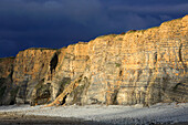 Cliffs at Nash Point, Glamorgan Heritage Coast, Südwales, Vereinigtes Königreich, Europa
