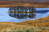 Assynt landscape, Highland, Scotland, United Kingdom, Europe