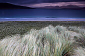 Luskentyre beach, Harris, Äußere Hebriden, Schottland, Vereinigtes Königreich, Europa