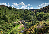 Derbyshire Bridge und der Fluss Goyt im Sommer, Goyt Valley, Peak District National Park, Derbyshire, England, Vereinigtes Königreich, Europa