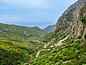 Landschaft im Tal des Berges Kerkis, Insel Samos, Nord-Ägäis, Griechische Inseln, Griechenland, Europa