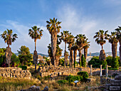 Antike Agora bei Sonnenuntergang, Kos-Stadt, Insel Kos, Dodekanes, Griechische Inseln, Griechenland, Europa