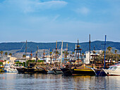 Hafen von Kos-Stadt, Insel Kos, Dodekanes, Griechische Inseln, Griechenland, Europa