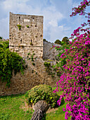 Verteidigungsmauer der mittelalterlichen Altstadt, Rhodos-Stadt, Insel Rhodos, Dodekanes, Griechische Inseln, Griechenland, Europa