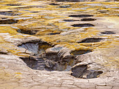 Schwefel am Stefanos-Vulkankrater, Detailaufnahme, Insel Nisyros, Dodekanes, Griechische Inseln, Griechenland, Europa