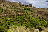 Ansichten von Ollantaytambo, Peru, Südamerika