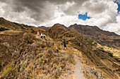 Menschen wandern zu den Ruinen von Pisaq, Heiliges Tal, Peru, Südamerika