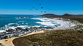 Luftaufnahme eines weißen Sandstrandes, Westküsten-Nationalpark, Westkap-Provinz, Südafrika, Afrika