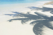 USA, Amerikanische Jungferninseln, St. John, Schatten von Palmen am weißen Sandstrand
