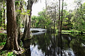 USA, South Carolina, Charleston, Weiße Brücke bei Magnolia Plantation