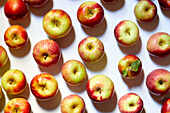 Draufsicht auf Äpfel auf weißem Hintergrund