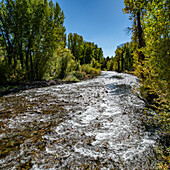 USA, Idaho, Big Wood River im Herbst bei Sun Valley