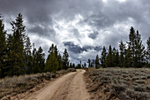 USA, Idaho, Schotterstraße führt durch den Sawtooth National Forest an einem bewölkten Tag