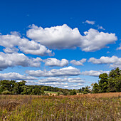 USA, Wisconsin, Wolken über der Landschaft im Donald County Park bei Madison