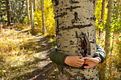USA, New Mexico, Hände eines Jungen, der eine Espe im Santa Fe National Forest umarmt