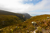 Südafrika, Hermanus, Fernkloof Naturreservat, Landschaft