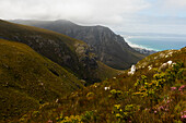 Südafrika, Hermanus, Fernkloof Naturreservat, Landschaft