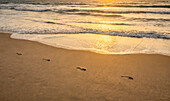 Fußabdrücke am Sandstrand bei Sonnenuntergang