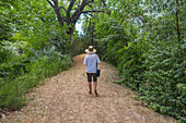 Rear view of woman walking on footpath in High Desert oasis