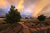 USA, New Mexico, Santa Fe, Frühes Morgenlicht über dem Garten in der Hochwüste
