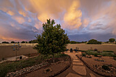 USA, New Mexico, Santa Fe, High Desert garden at sunset