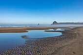 USA, Oregon, Shallow pools of water at sandy Cannon Beach