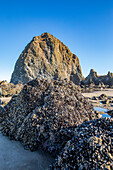 USA, Oregon, Rock formations at Cannon Beach 