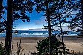 USA, Oregon, Pinienbäume und Felsformationen am Cannon Beach