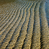 Unterwasserrippen im Sand bei Flut