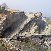 USA, Oregon, Coos Bay, Rock formation at coast