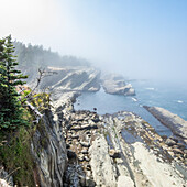 USA, Oregon, Coos Bay, High angle of rock formations along coast