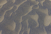 Wind sculpted patterns in beach sand 