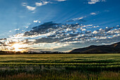 Sun rising over grain fields