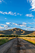USA, Idaho, Bellevue, Dirt road leading to foothills on summer morning
