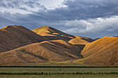 Hills illuminated with afternoon sunlight