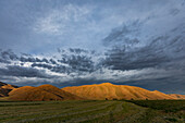 USA, Idaho, Bellevue, Von der Nachmittagssonne beleuchtete Hügel