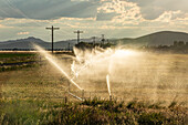 USA, Idaho, Bellevue, Farm irrigation system in field at sunset